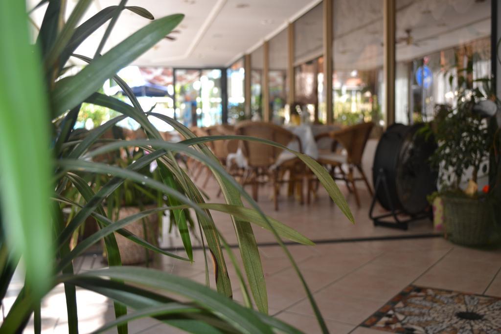 Hotel Alfredo'S Rimini Exteriör bild